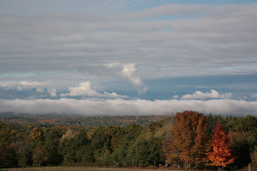 10-24-05-001bl.jpg